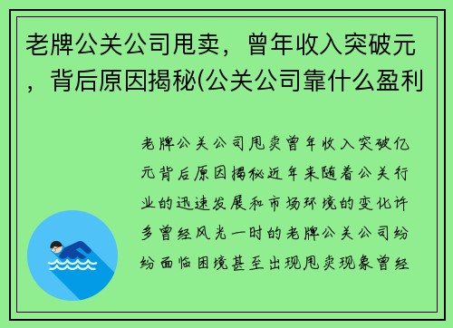 老牌公关公司甩卖，曾年收入突破元，背后原因揭秘(公关公司靠什么盈利)